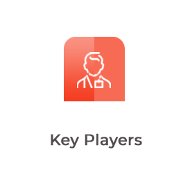 Key Players